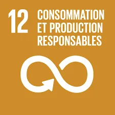 ODD 12 — Consommation et production responsables