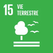 ODD 15 — Vie terrestre